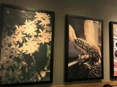 -星巴克(南京同曦万尚城店)