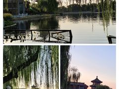 -后海