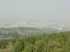 -原山国家森林公园