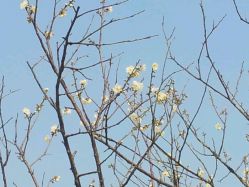 android_upload_pic-云湖游乐园