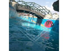 -青鱼湾水上乐园