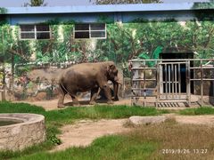 -西安秦岭野生动物园