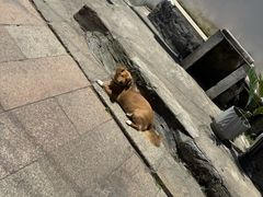 -练塘古镇