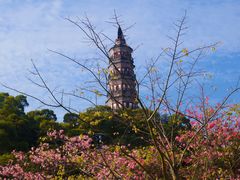 -顺峰山公园