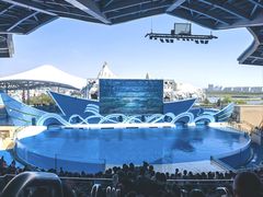 -上海海昌海洋公园