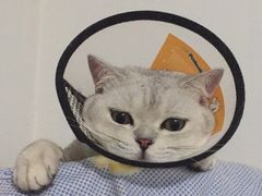 -美迦爱-牙专科·兔科·骨科诊疗中心(北苑店)