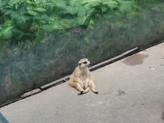 -呀诺达热带雨林