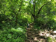 -王顺山国家森林公园