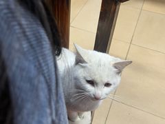 -柘林湖生态鱼馆