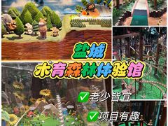 -黄海国家森林公园