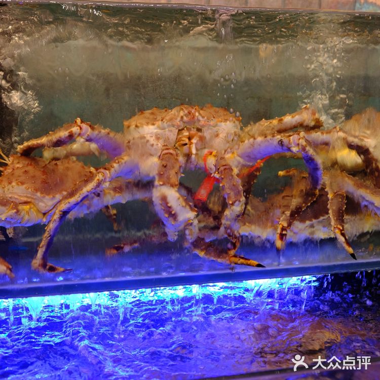 广州 | 活蟹六吃，快乐加倍翻