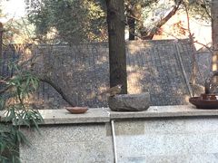 -香园自助小火锅