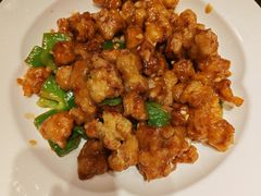 -鸽子窝(青塔店)
