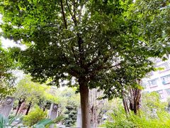 -广州神农草堂中医药博物馆