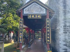 -碧江金楼
