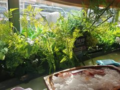 -五星桥原切肥牛火锅·30年专注好牛肉(湖塘店)