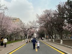 -吉林大学(南岭校区)
