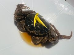 生醉蟹-人和馆·上海菜(徐汇店)
