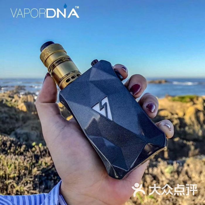 vape bear 蒸汽熊电子烟