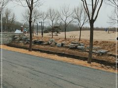 -东郊湿地公园