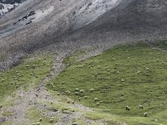-祁连山·岗什卡雪峰景区