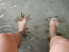 -碧水湾温泉
