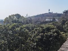 -亮河湾山庄