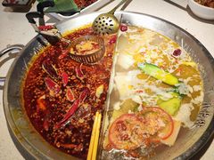 -小龙坎火锅(春熙太古里店)