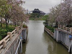 -海珠湖公园