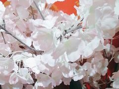 -学习谷日语培训日本留学·多语种外语教学(海淀人大分部)