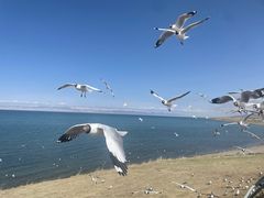 -青海湖二郎剑景区