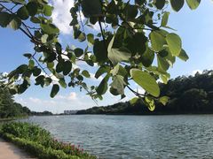 -南国桃园旅游度假区