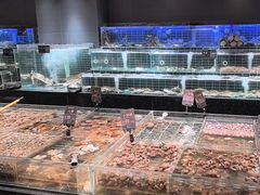 -浩运·海鲜青岛菜·海胆水饺(石老人店)