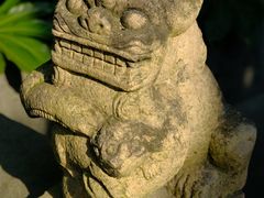-秋霞圃