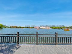 -上海长兴岛郊野公园