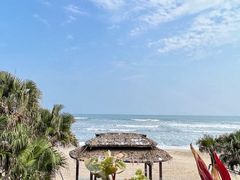 -广东惠东海龟国家级自然保护区