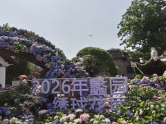 -无锡蠡湖国家湿地公园-蠡园