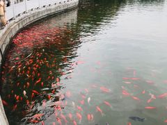 -西宁市人民公园(城西区)
