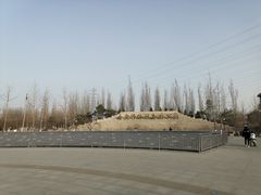 -永定河休闲森林公园