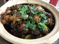 -广宁炭炉鸡煲·富临门饭店