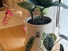 -瑶舍头疗·瑶浴·芳香热石SPA(五洲国际店)