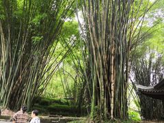 -峨眉山报国寺