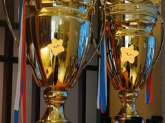 -天猫养车贴膜轻改·蓝电(优匹康桥东路店)