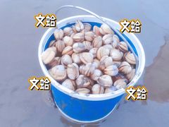 -启东黄金海滩景区