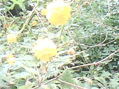 -郭守敬纪念馆