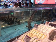 -王庄阿咪海鲜大排档(象园店)