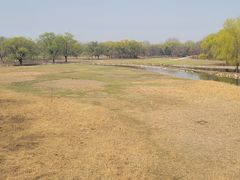 -北京麋鹿生态实验中心