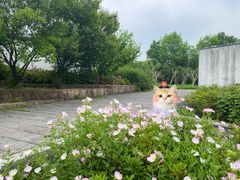 -武汉园博园(武汉自然博物馆)