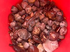 -北海金海湾红树林生态旅游区