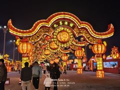 -淄博花灯齐彩城